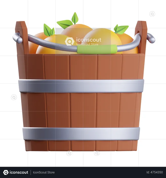 Orange Fruits Bucket  3D Illustration