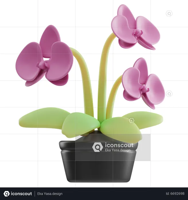 Orchid Pot  3D Icon