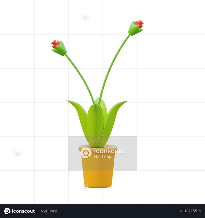 Orcid rot  3D Icon