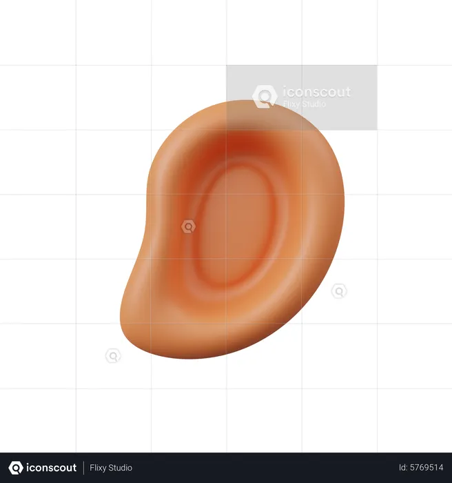 Oreja  3D Icon