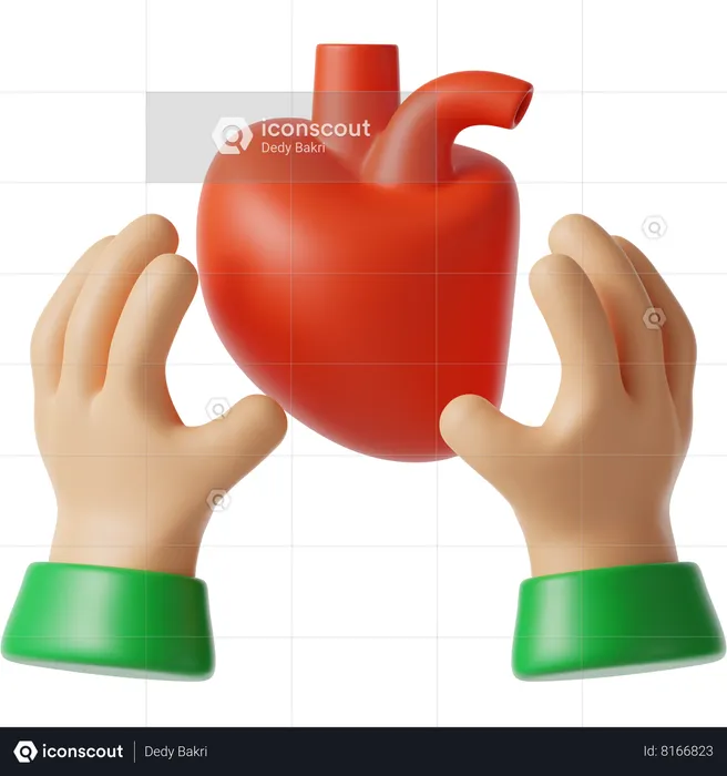 Organ Donation  3D Icon