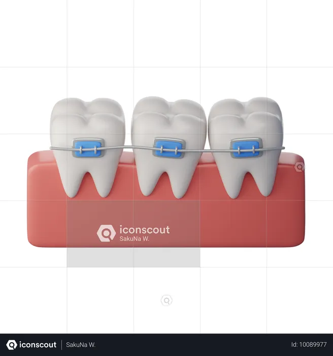 Orthodontics  3D Icon