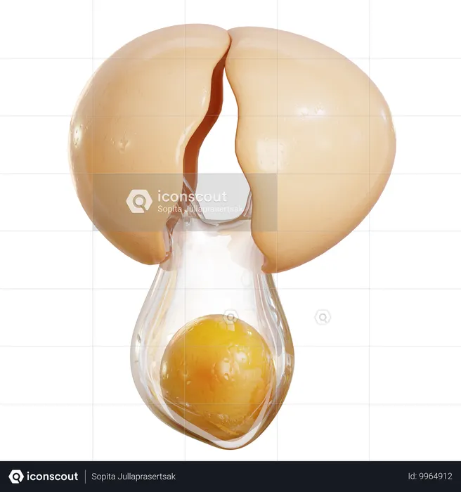 Ovo quebrado  3D Icon