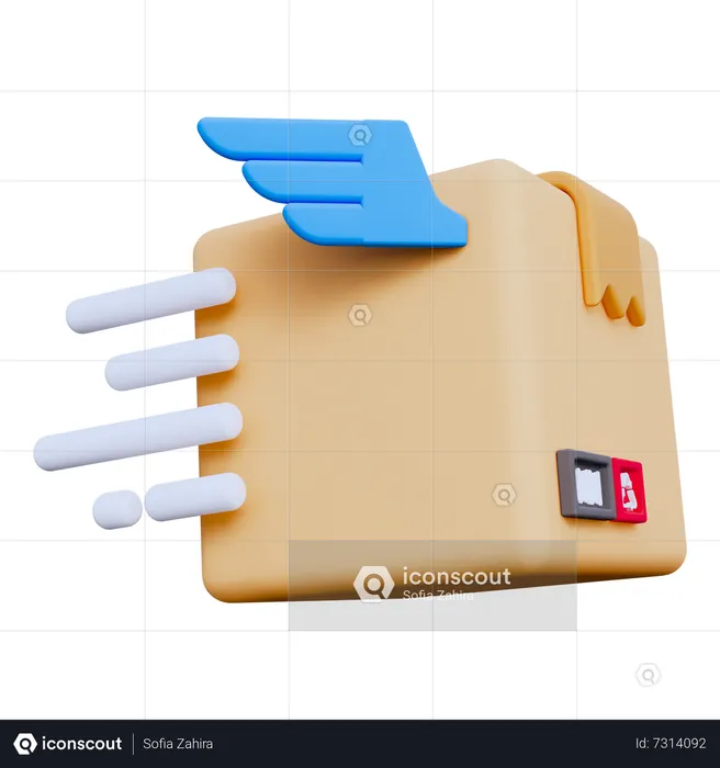 Colis de livraison rapide  3D Icon