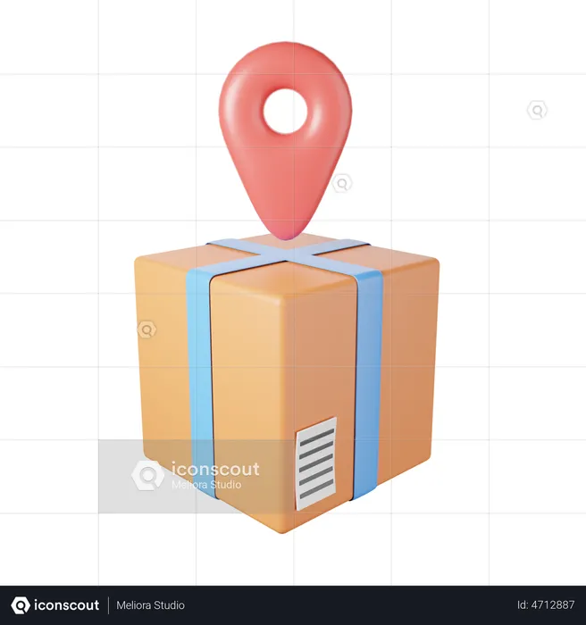 Package Location  3D Illustration