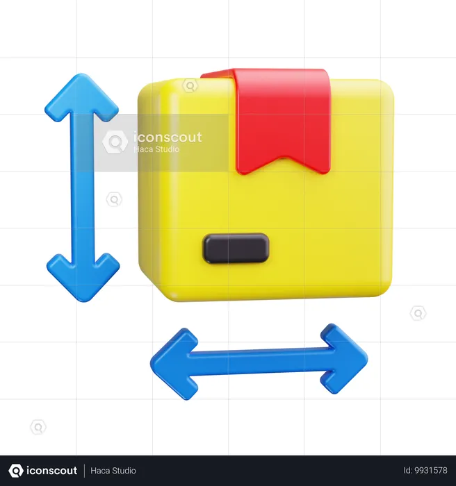 Package size  3D Icon