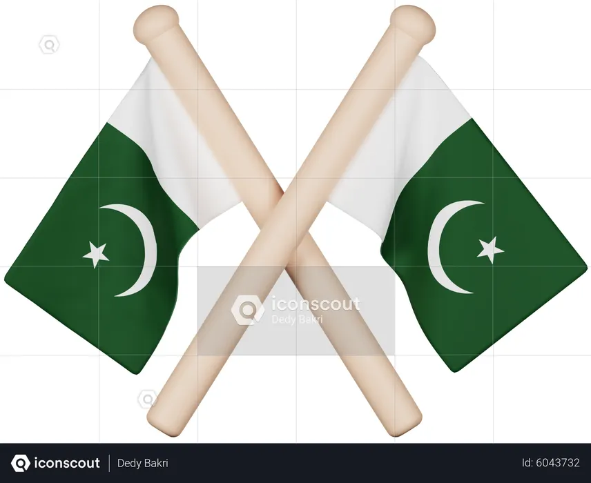 Pakistan Flag Flag 3D Icon