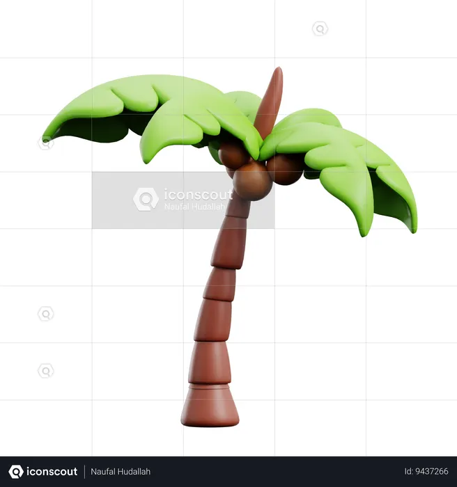 Palm Tree  3D Icon