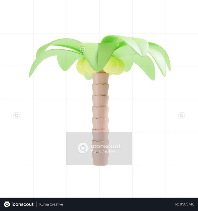 Palm Tree  3D Icon