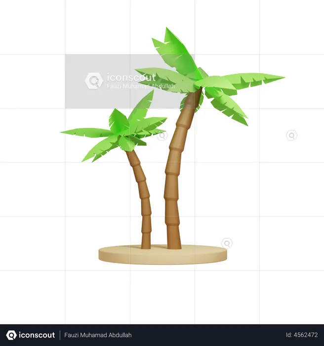 Palm Trees  3D Illustration