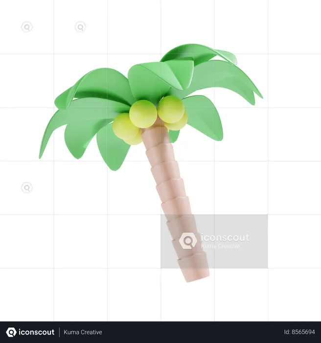 Palmera  3D Icon