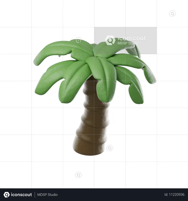 Palmera  3D Icon