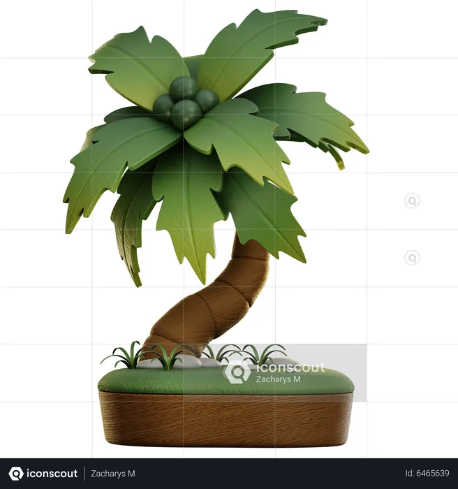 Palmera  3D Icon