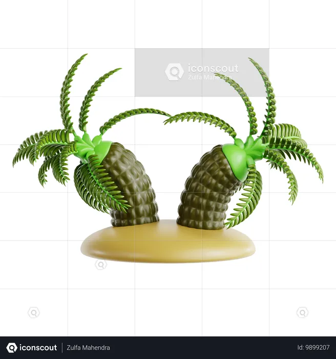 Palmera datilera pigmea  3D Icon