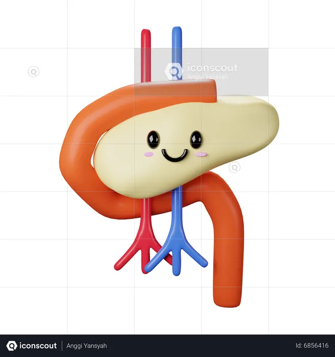 Pancreas  3D Icon