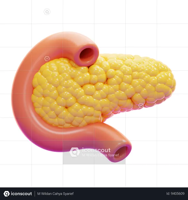 PANCREAS  3D Icon