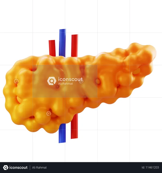 Pancreas  3D Icon