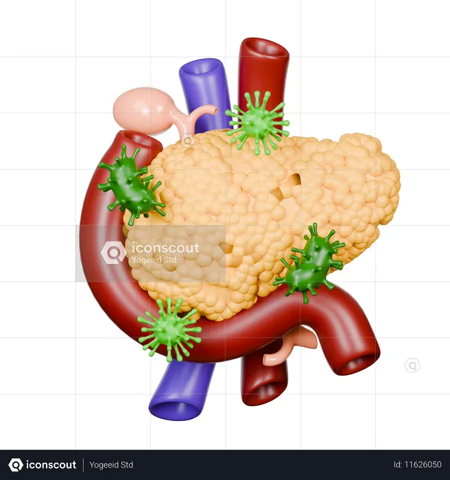 Pancreas Diseases  3D Icon