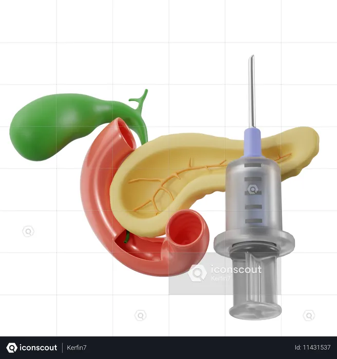 Pancreas With Insulin Syringe  3D Icon