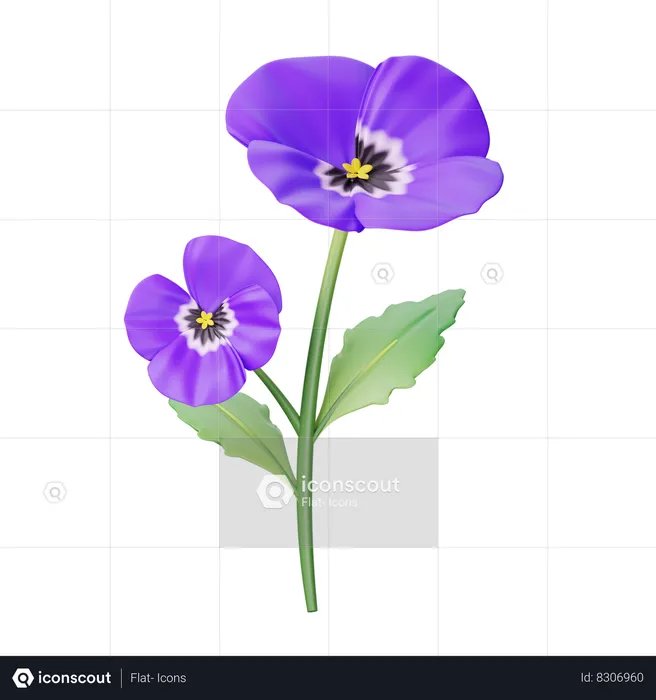 Pansy  3D Icon
