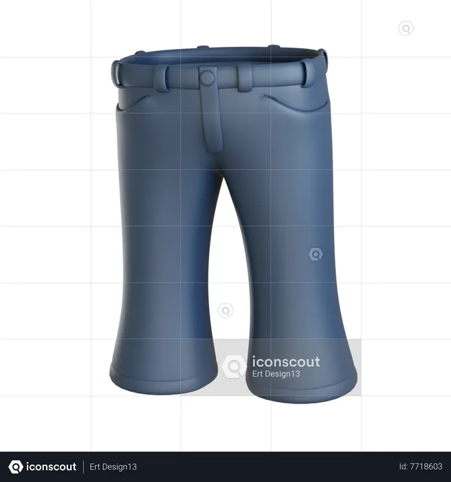 Pantalones acampanados  3D Icon