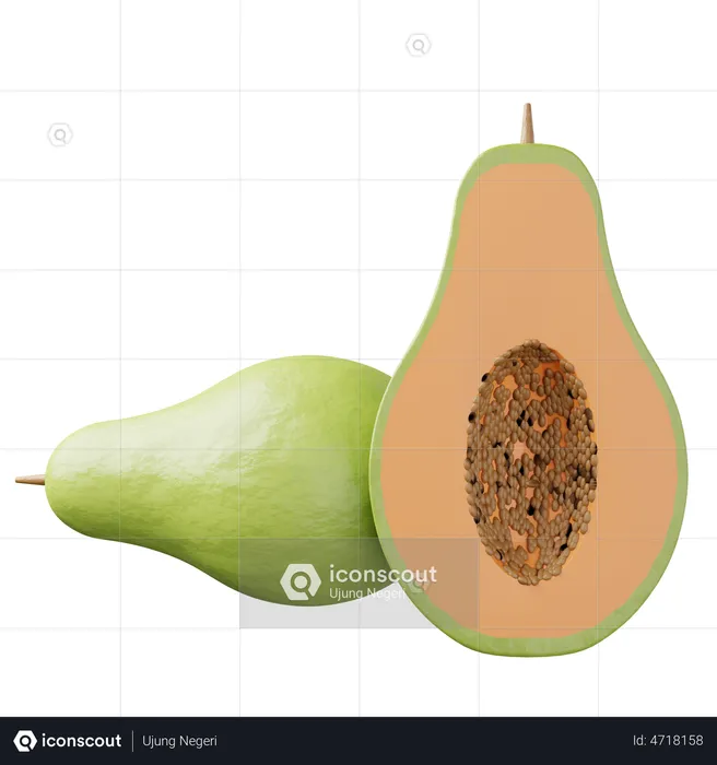 Papaya  3D Illustration