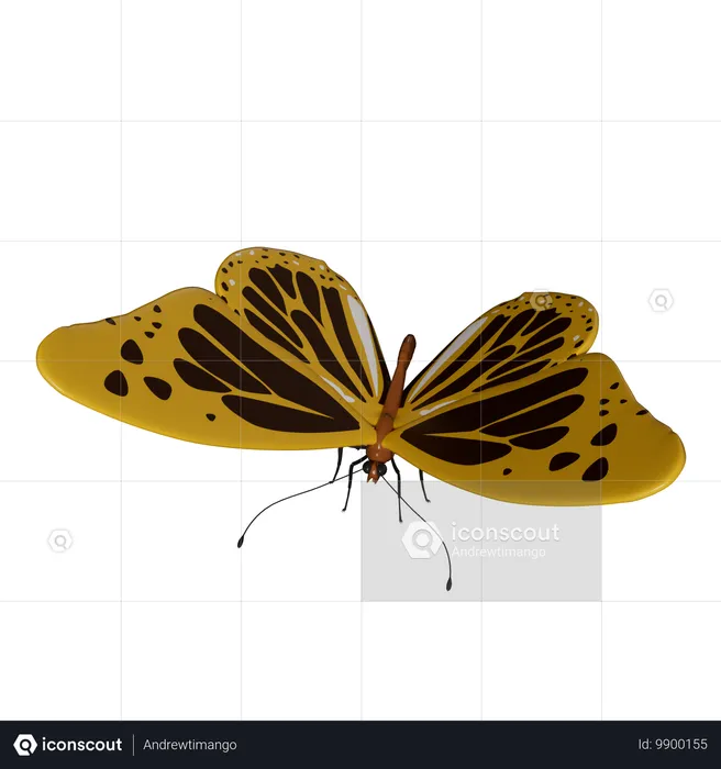 Papillon  3D Icon