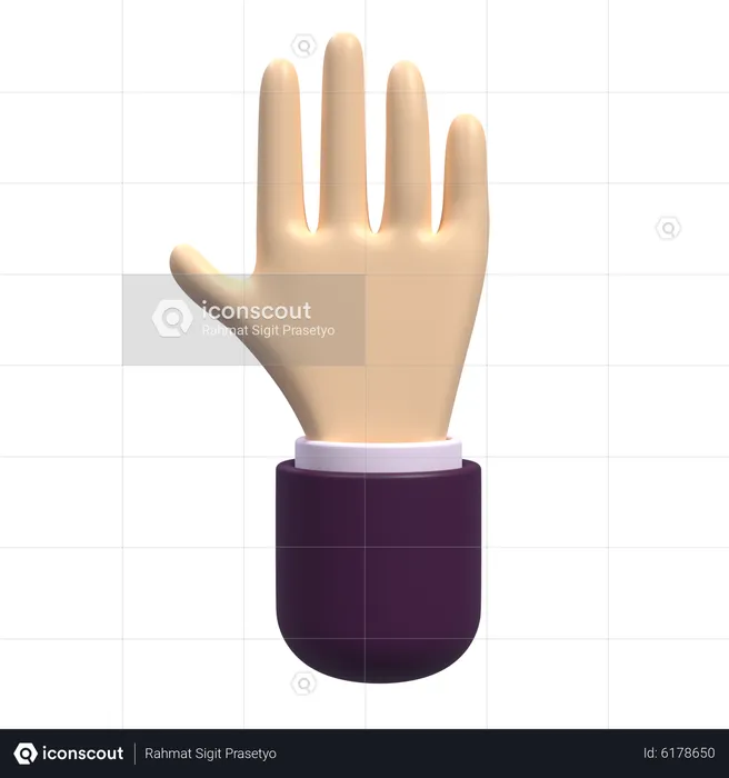 Detener la mano  3D Icon