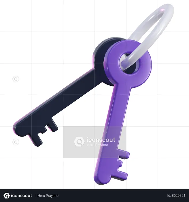Password Key  3D Icon