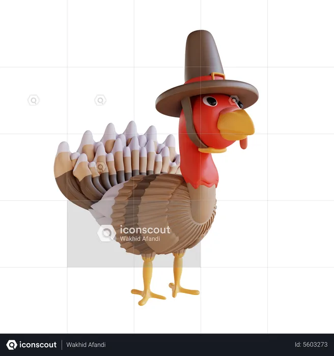 Pájaro pavo y sombrero  3D Icon