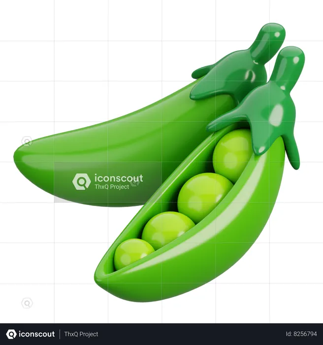 Pea  3D Icon