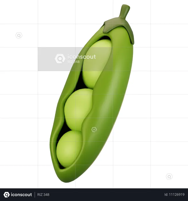 Pea  3D Icon