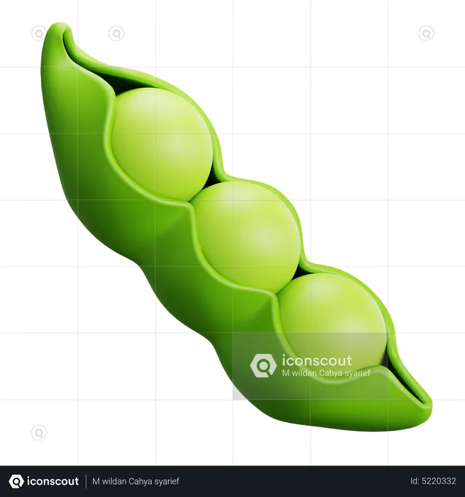 Pea  3D Icon