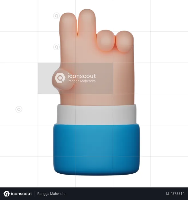 Peace Hand Gesture Sign  3D Icon