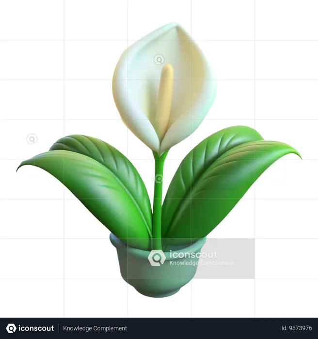 Peace Lily Plant  3D Icon