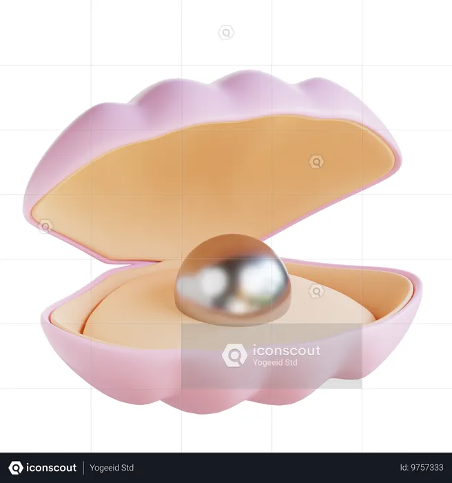 Pearl shell  3D Icon