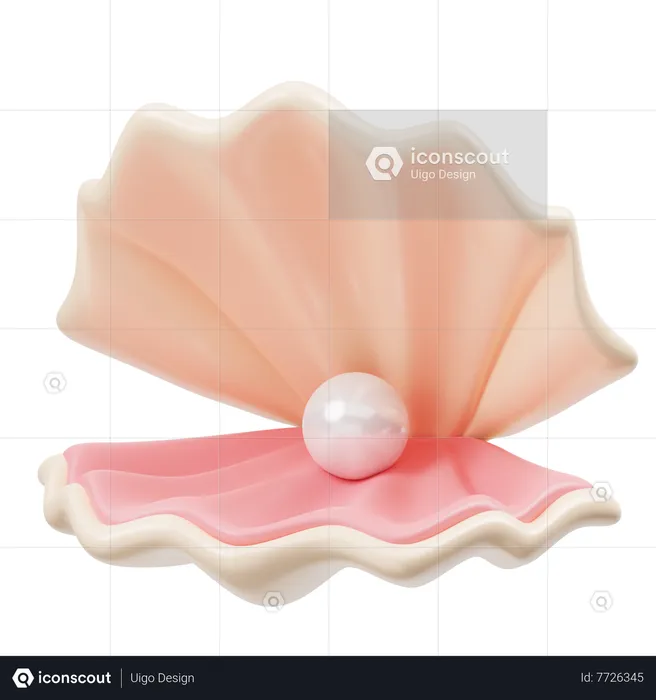 Pearl Shell  3D Icon