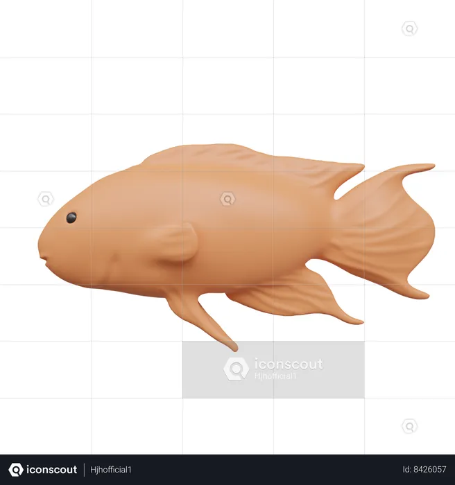 Peixe  3D Icon