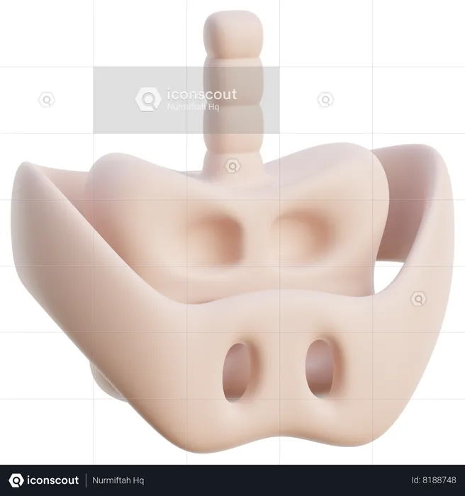 Pelvis Bone  3D Icon
