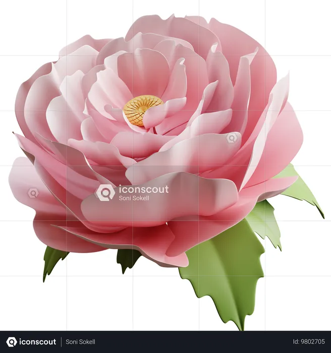 Peony  3D Icon