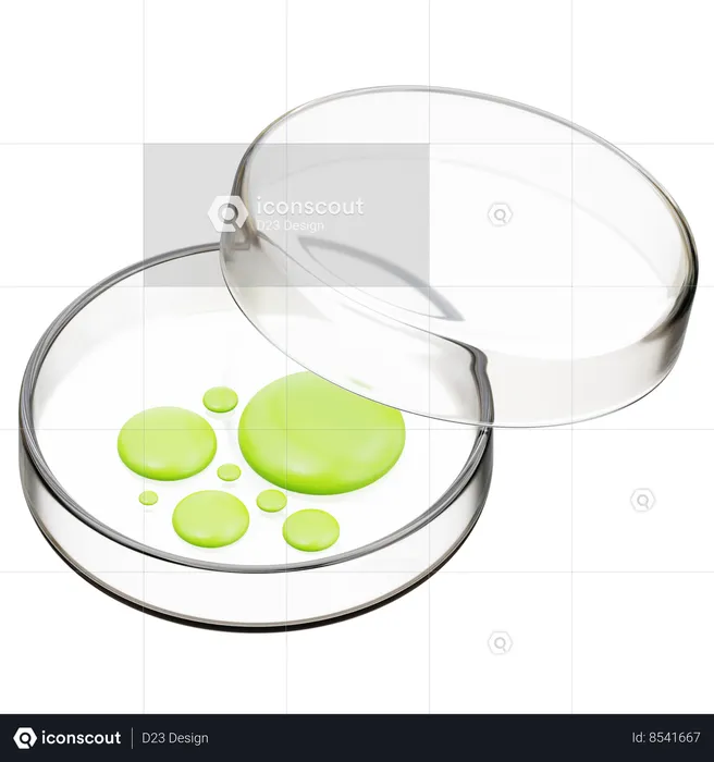 Petri Dish  3D Icon