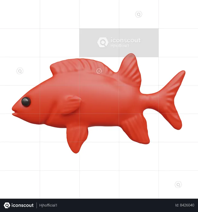 Pescado rojo  3D Icon