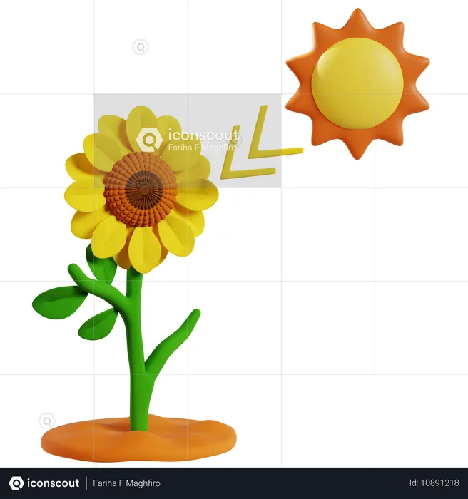 Photosynthese in Sonnenblumen zur Energieerzeugung  3D Icon