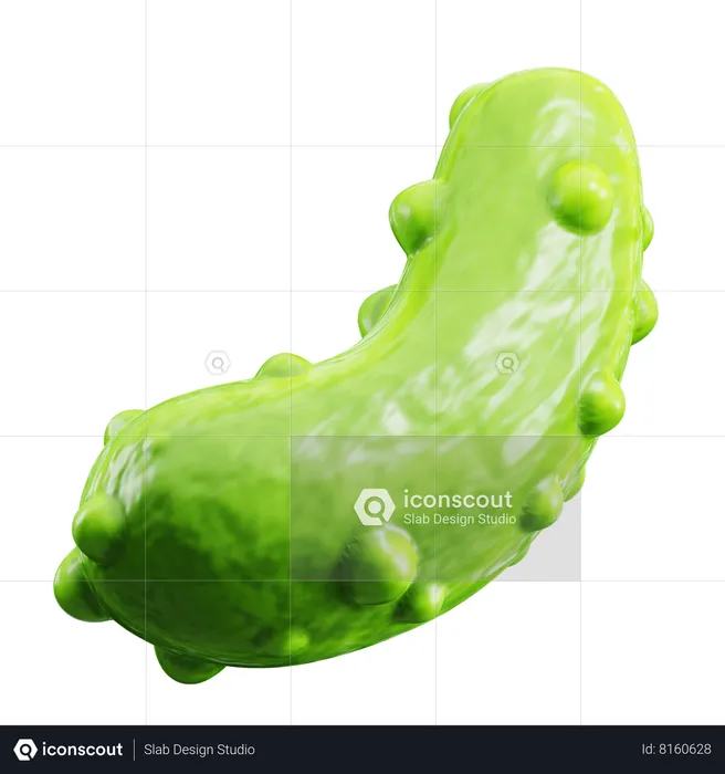 Pickle  3D Icon