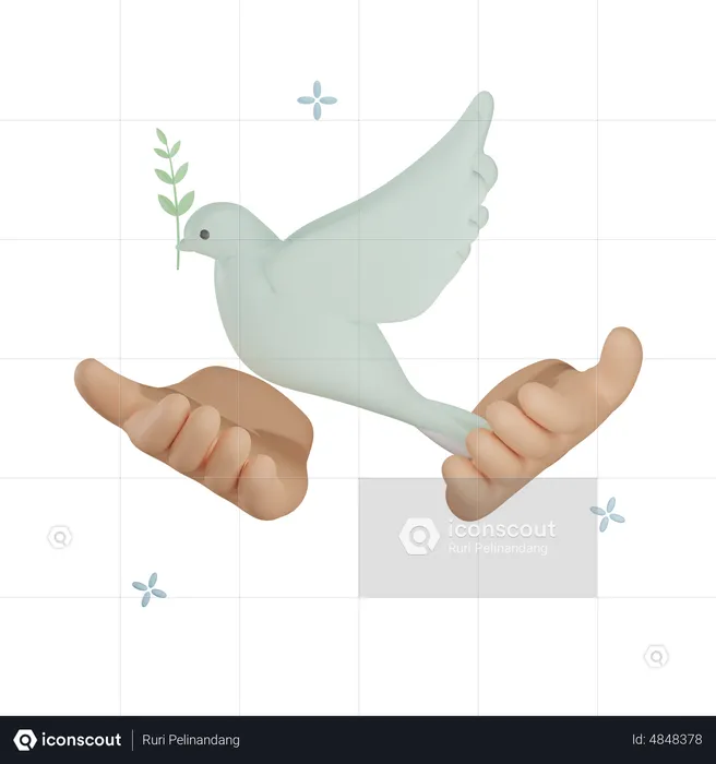 Pigeon Holding  3D Icon