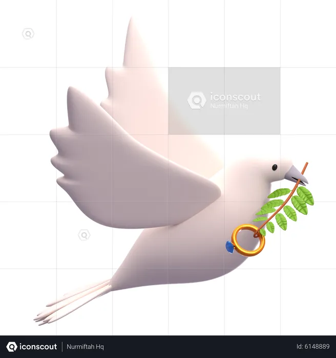 Pigeon With Ring  3D Icon