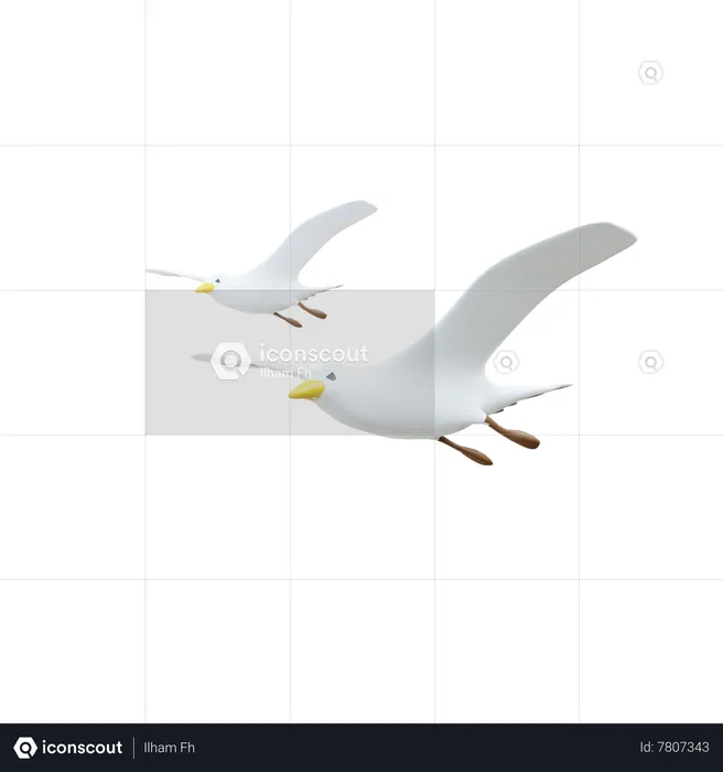 Pigeons  3D Icon