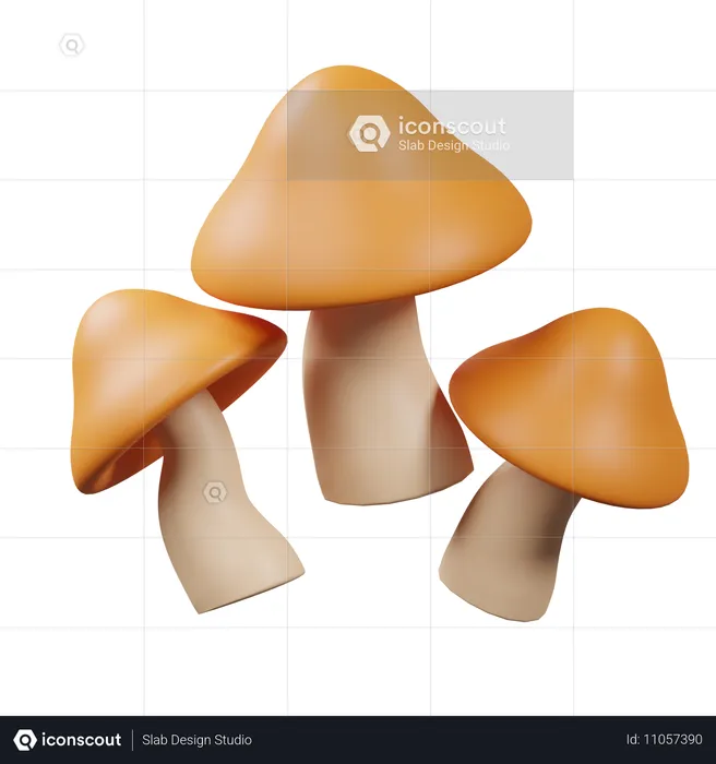 Pilz  3D Icon