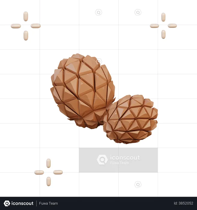 Pine Cone  3D Illustration