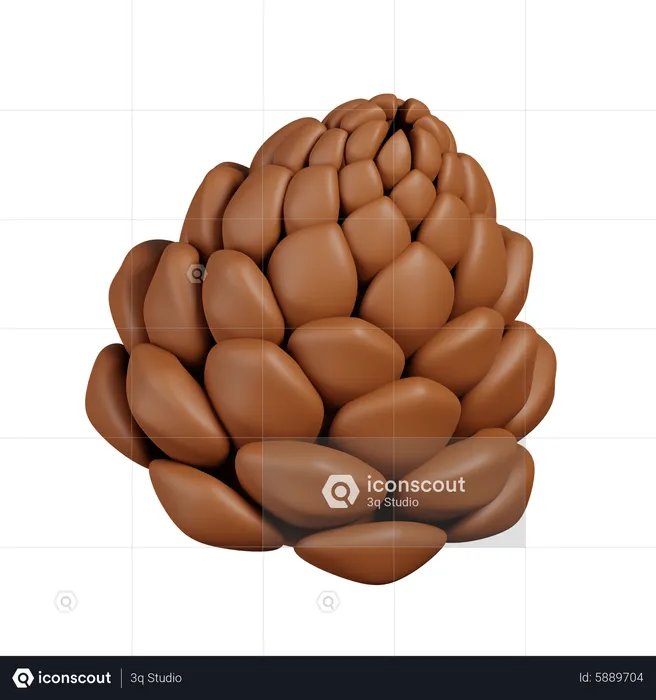 Pinecone  3D Icon